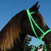 Beta Headstall - Bright Colors