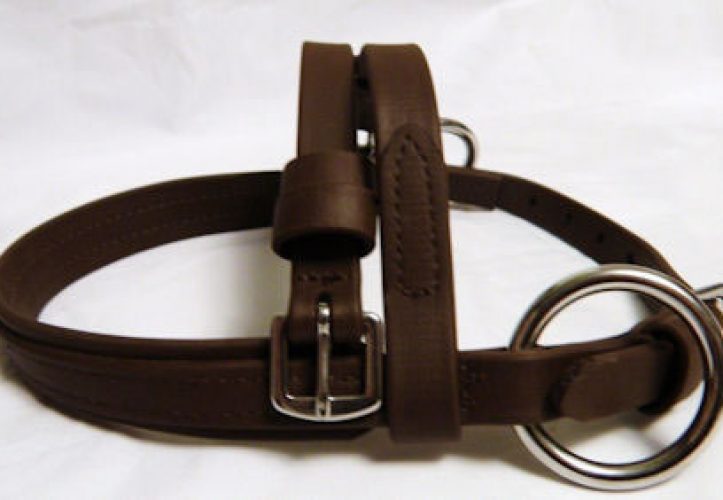Beta Noseband