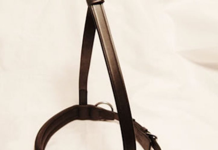 Padded English Leather Noseband