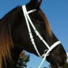 Beta Headstall - Bright Colors