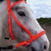 Beta Headstall - Bright Colors