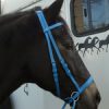 Beta Headstall - Bright Colors
