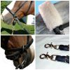 Bitless Bridle Accessory Package