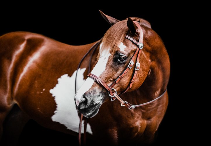 Deluxe Western Leather Headstall