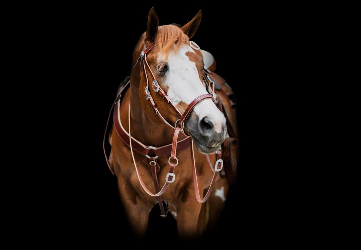 Deluxe Harness Leather Headstall