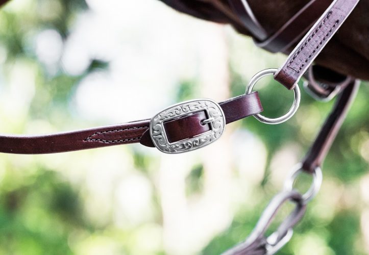 Deluxe Harness Leather Reins