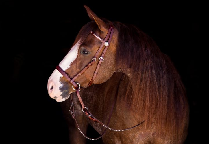 Deluxe Beta Headstall